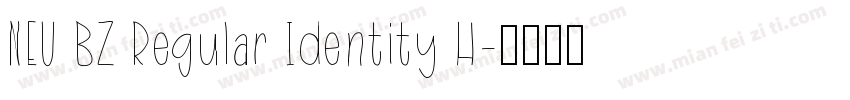 NEU BZ Regular Identity H字体转换